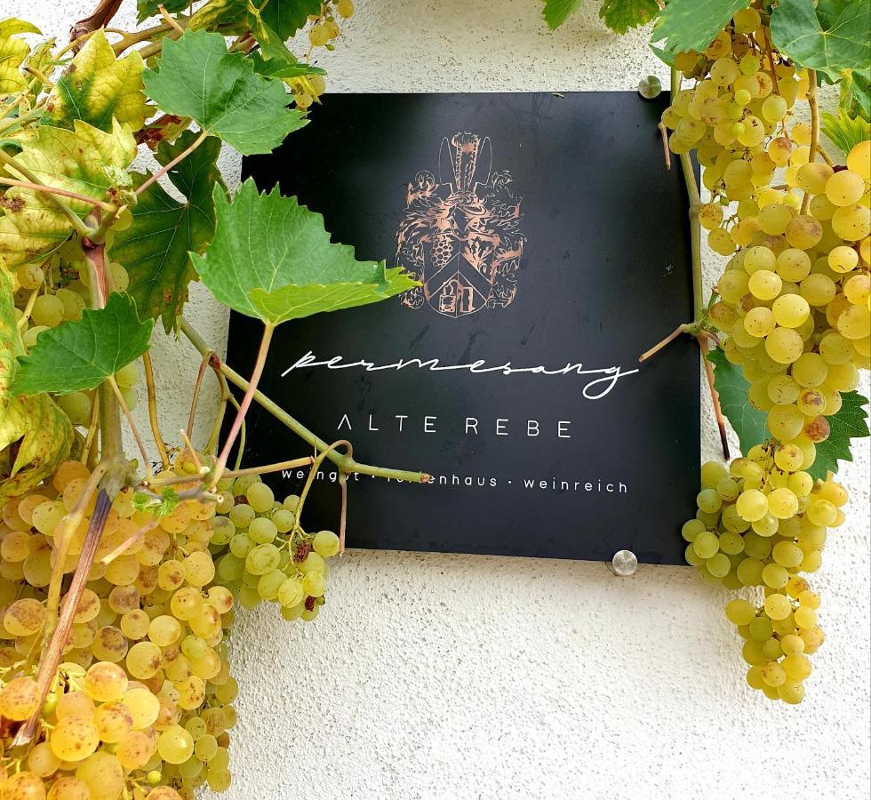 Zur Alten Rebe Ferienhaus Und Weingut 콘즈 외부 사진