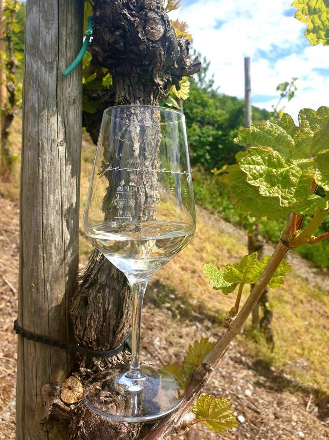 Zur Alten Rebe Ferienhaus Und Weingut 콘즈 외부 사진