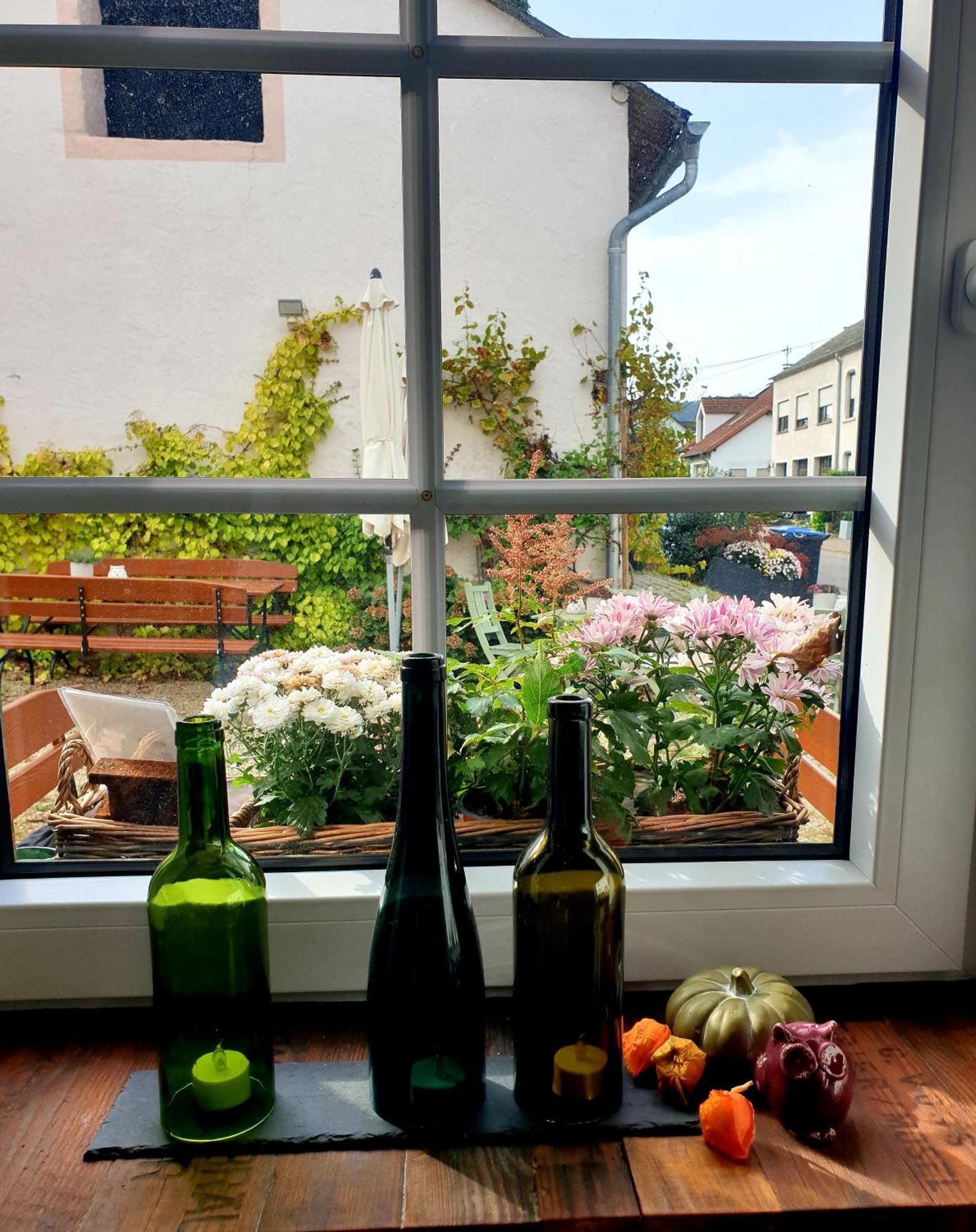 Zur Alten Rebe Ferienhaus Und Weingut 콘즈 외부 사진