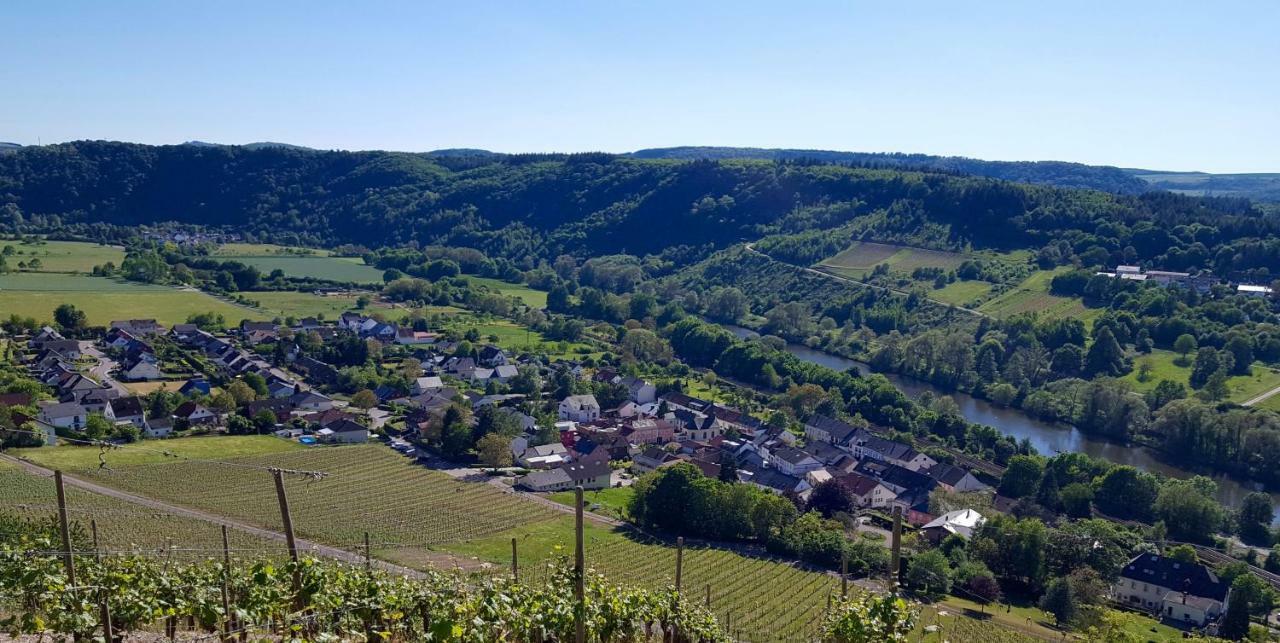 Zur Alten Rebe Ferienhaus Und Weingut 콘즈 외부 사진