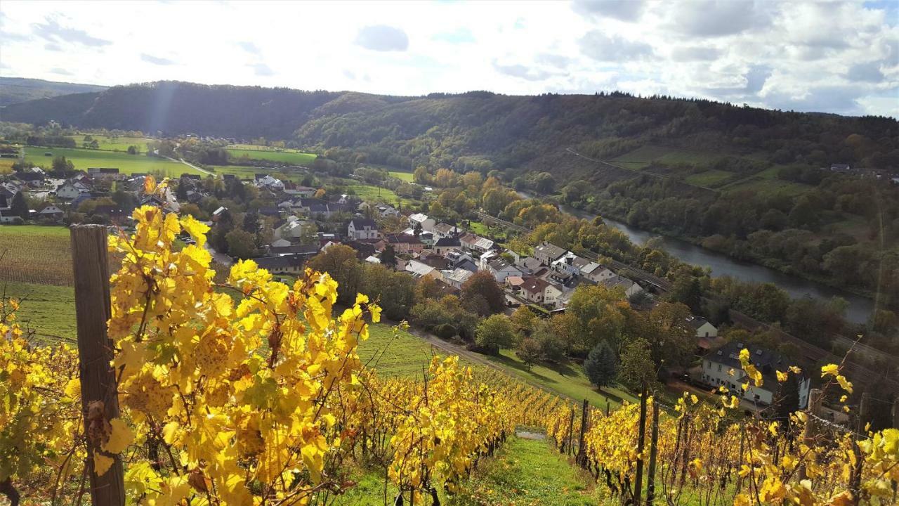Zur Alten Rebe Ferienhaus Und Weingut 콘즈 외부 사진