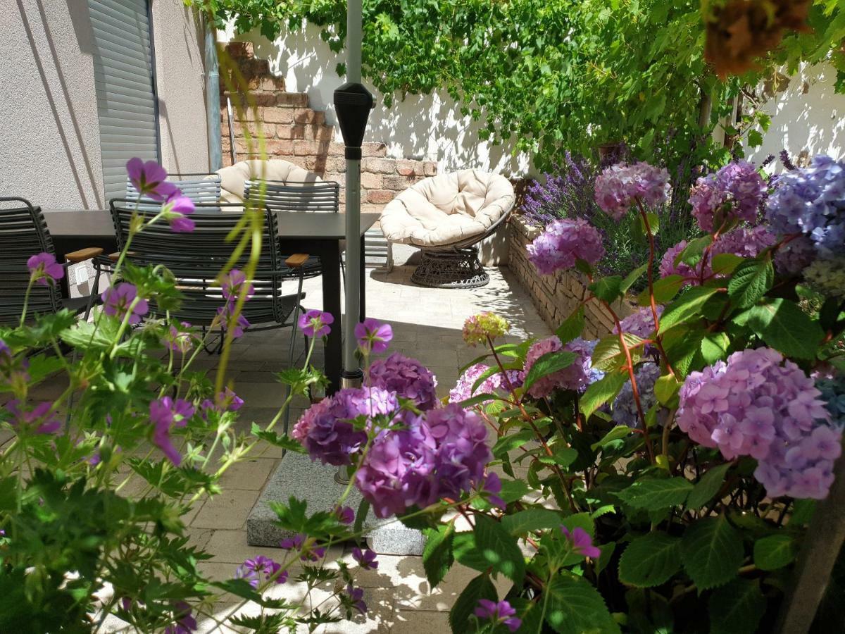 Zur Alten Rebe Ferienhaus Und Weingut 콘즈 외부 사진