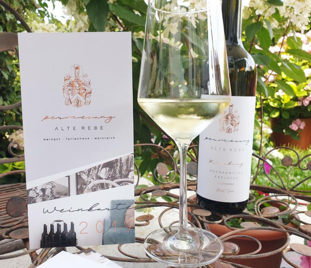 Zur Alten Rebe Ferienhaus Und Weingut 콘즈 외부 사진