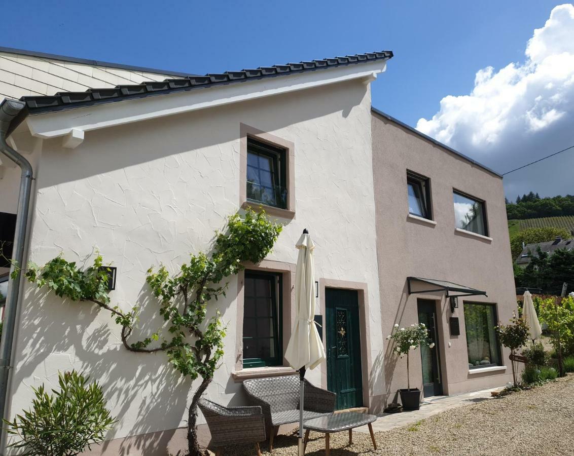 Zur Alten Rebe Ferienhaus Und Weingut 콘즈 외부 사진