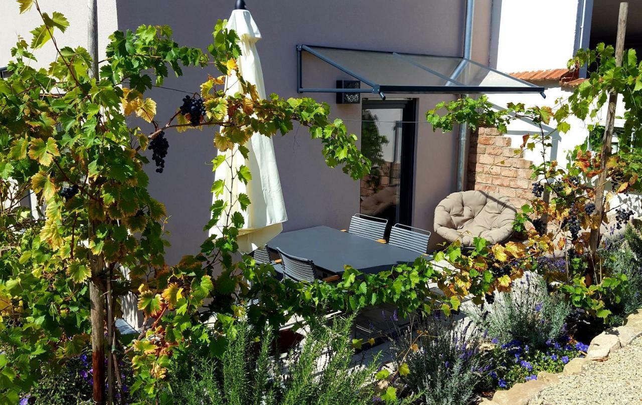 Zur Alten Rebe Ferienhaus Und Weingut 콘즈 외부 사진