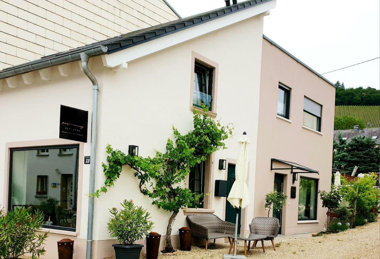 Zur Alten Rebe Ferienhaus Und Weingut 콘즈 외부 사진